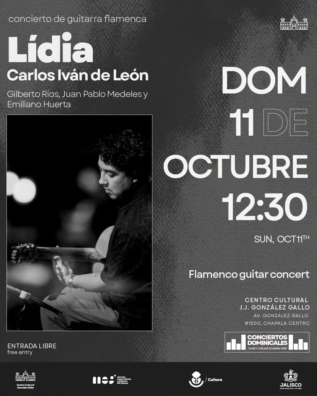 Concierto de Guitarra Flamenca - Lidia